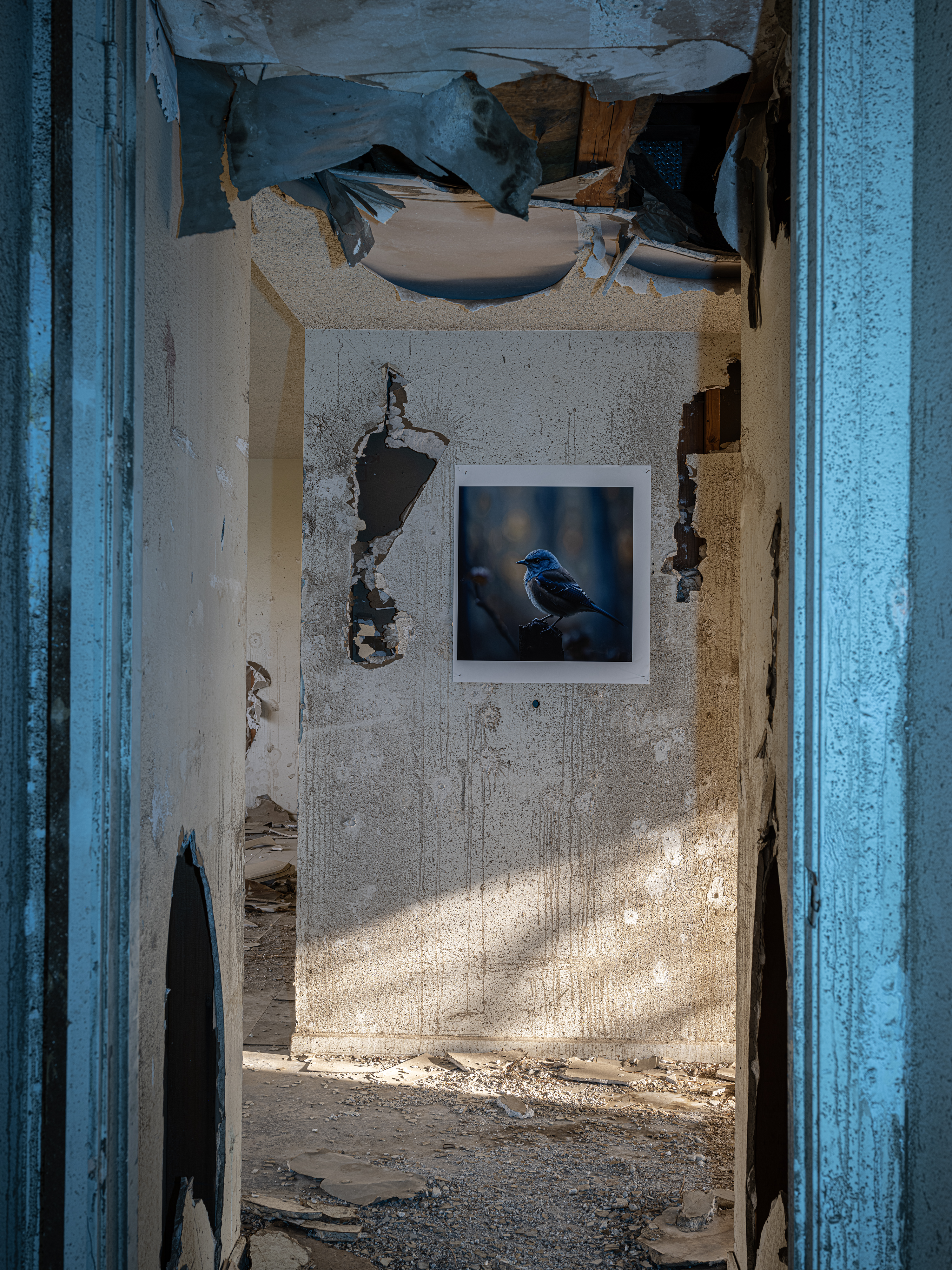 DSCF2979